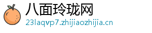 八面玲珑网